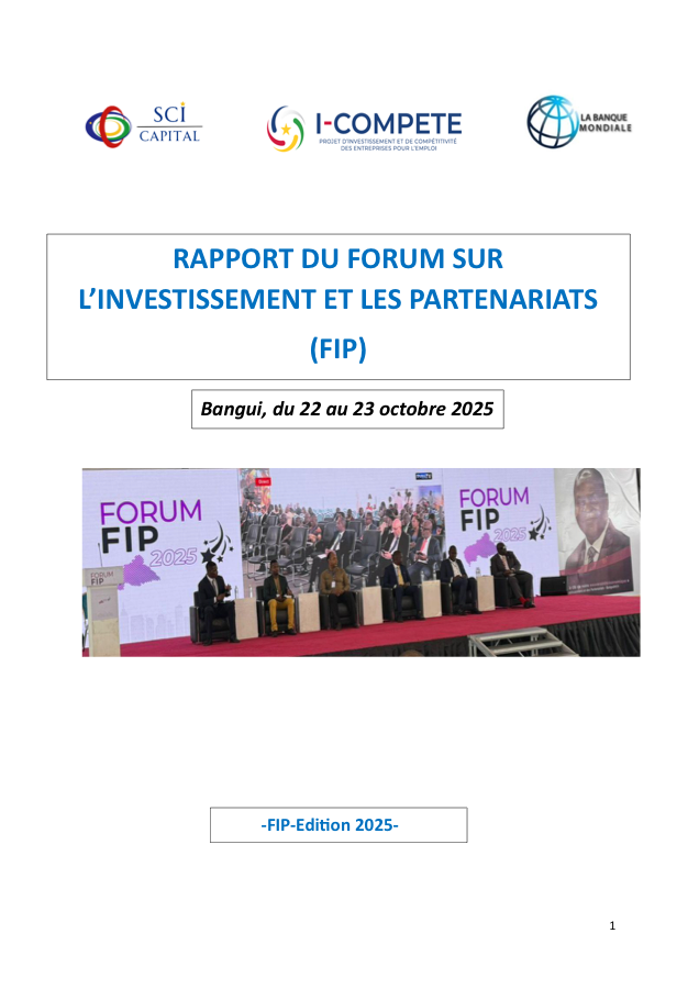 Rapport FIP 2025